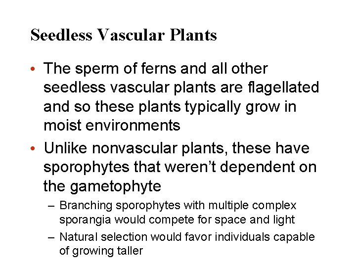 Seedless Vascular Plants • The sperm of ferns and all other seedless vascular plants