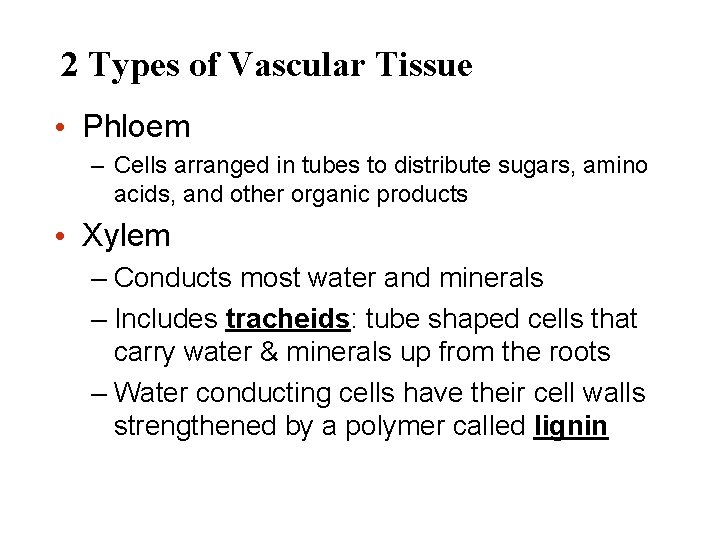 2 Types of Vascular Tissue • Phloem – Cells arranged in tubes to distribute