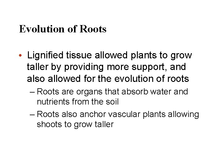 Evolution of Roots • Lignified tissue allowed plants to grow taller by providing more