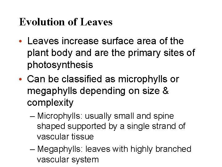 Evolution of Leaves • Leaves increase surface area of the plant body and are