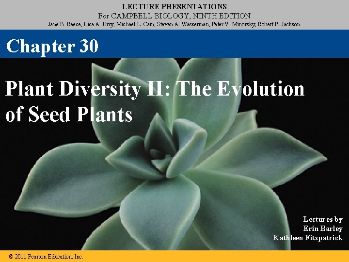 LECTURE PRESENTATIONS For CAMPBELL BIOLOGY, NINTH EDITION Jane B. Reece, Lisa A. Urry, Michael