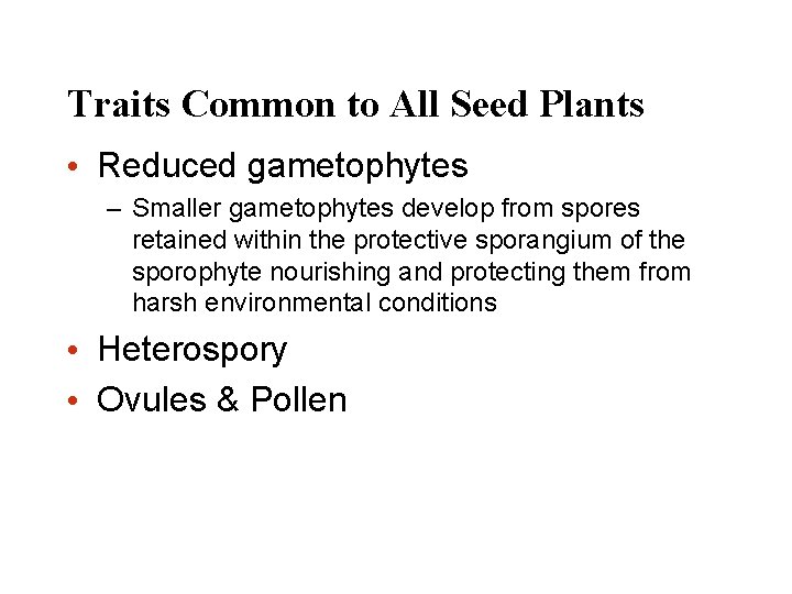 Traits Common to All Seed Plants • Reduced gametophytes – Smaller gametophytes develop from