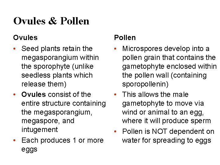 Ovules & Pollen Ovules Pollen • Seed plants retain the megasporangium within the sporophyte