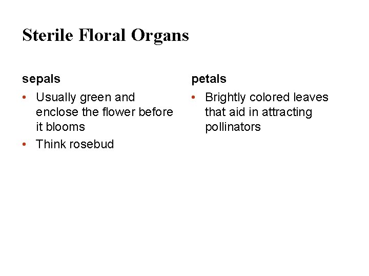Sterile Floral Organs sepals petals • Usually green and enclose the flower before it