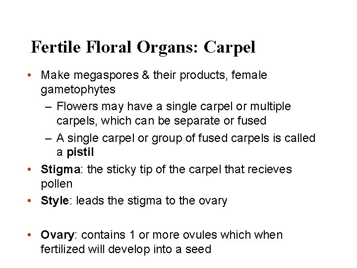 Fertile Floral Organs: Carpel • Make megaspores & their products, female gametophytes – Flowers