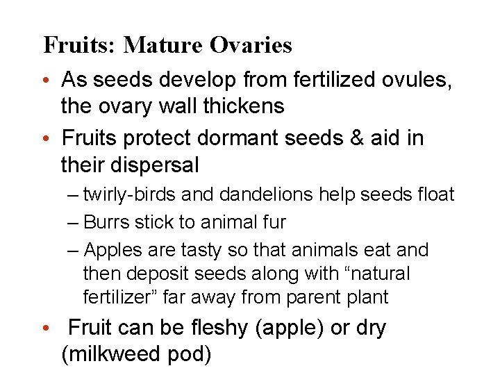 Fruits: Mature Ovaries • As seeds develop from fertilized ovules, the ovary wall thickens