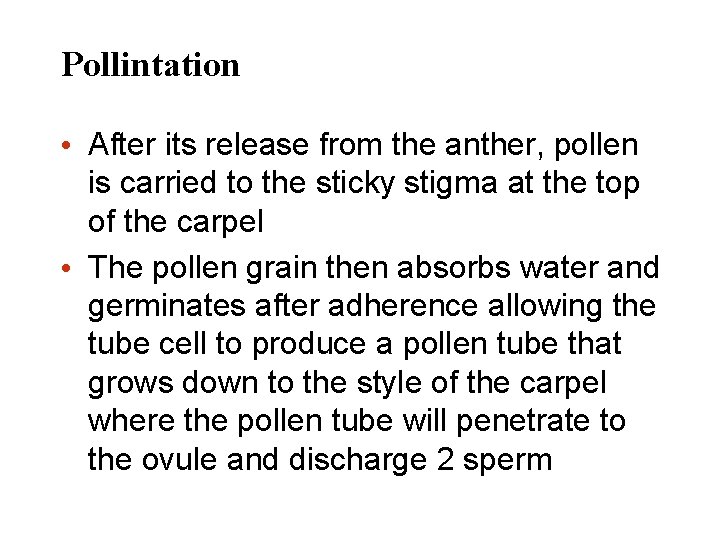 Pollintation • After its release from the anther, pollen is carried to the sticky