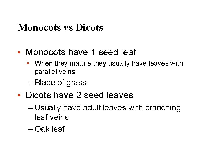 Monocots vs Dicots • Monocots have 1 seed leaf • When they mature they