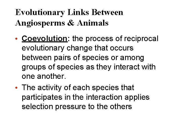 Evolutionary Links Between Angiosperms & Animals • Coevolution: the process of reciprocal evolutionary change