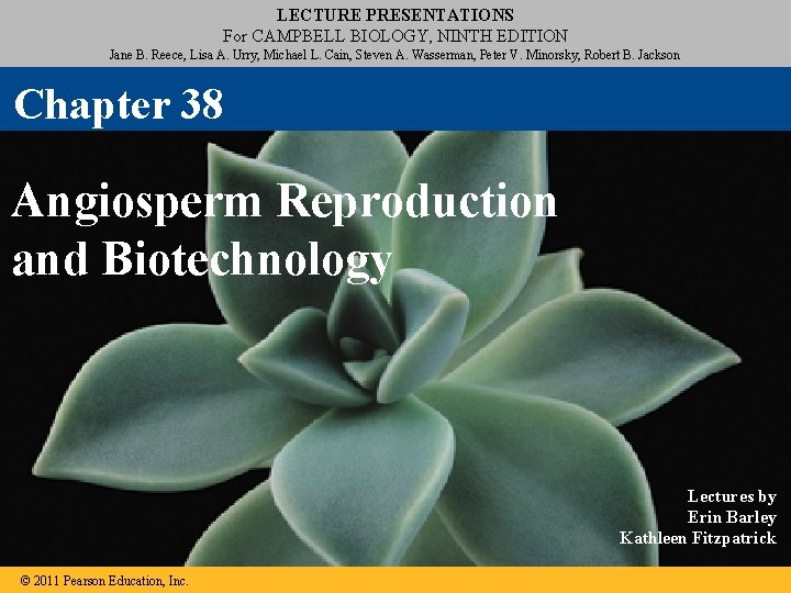 LECTURE PRESENTATIONS For CAMPBELL BIOLOGY, NINTH EDITION Jane B. Reece, Lisa A. Urry, Michael