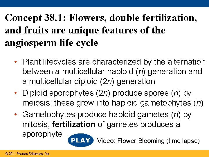 Concept 38. 1: Flowers, double fertilization, and fruits are unique features of the angiosperm