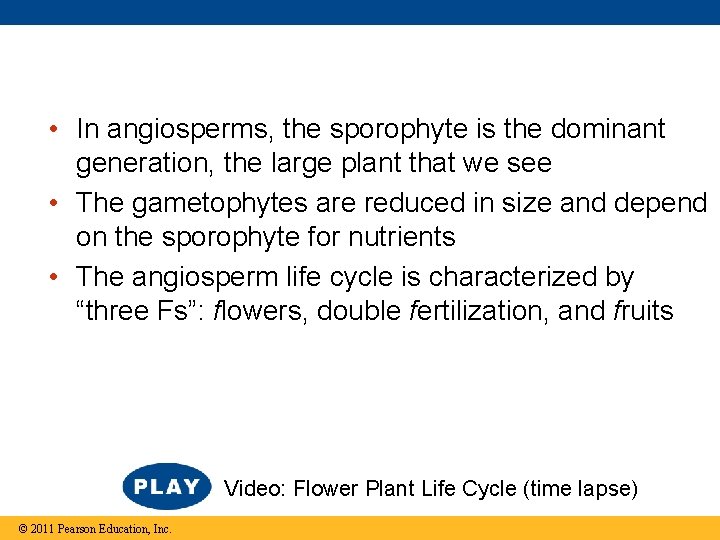  • In angiosperms, the sporophyte is the dominant generation, the large plant that