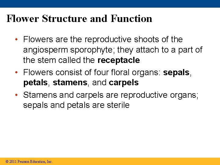 Flower Structure and Function • Flowers are the reproductive shoots of the angiosperm sporophyte;