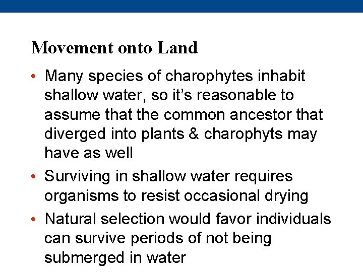 Movement onto Land • Many species of charophytes inhabit shallow water, so it’s reasonable