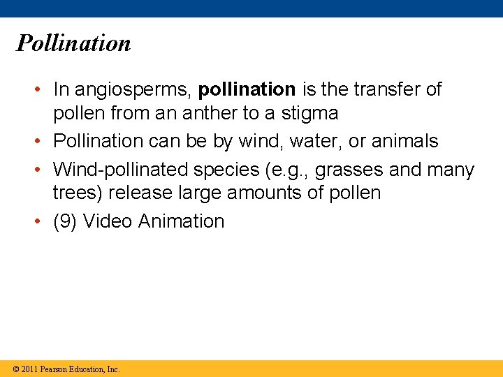 Pollination • In angiosperms, pollination is the transfer of pollen from an anther to