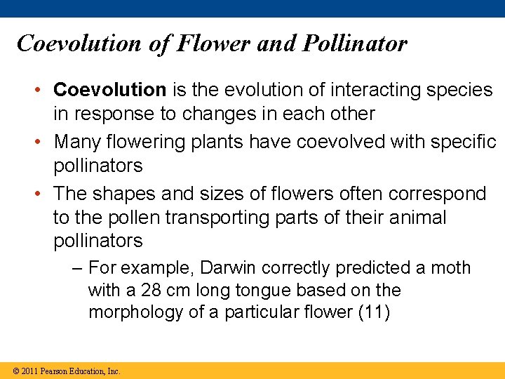 Coevolution of Flower and Pollinator • Coevolution is the evolution of interacting species in