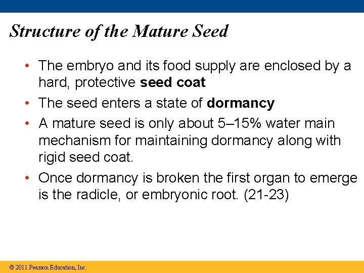 Structure of the Mature Seed • The embryo and its food supply are enclosed