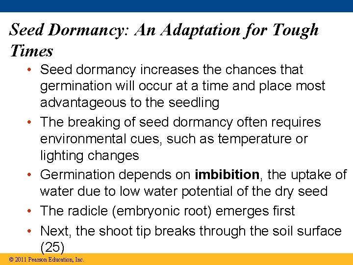 Seed Dormancy: An Adaptation for Tough Times • Seed dormancy increases the chances that