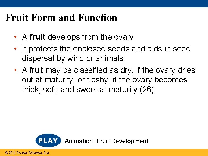 Fruit Form and Function • A fruit develops from the ovary • It protects