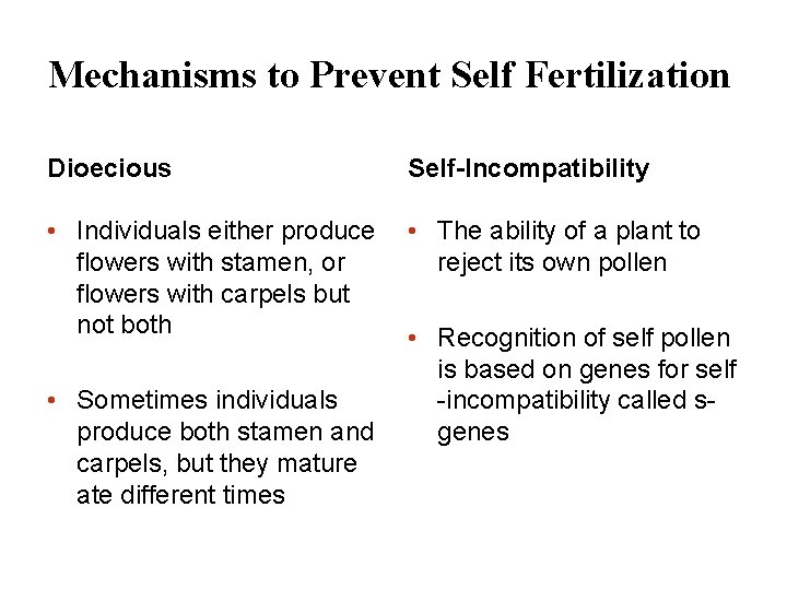 Mechanisms to Prevent Self Fertilization Dioecious Self-Incompatibility • Individuals either produce flowers with stamen,