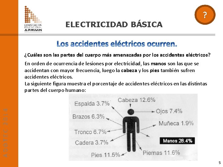 ELECTRICIDAD BÁSICA ¿Cuáles son las partes del cuerpo más amenazadas por los accidentes eléctricos?