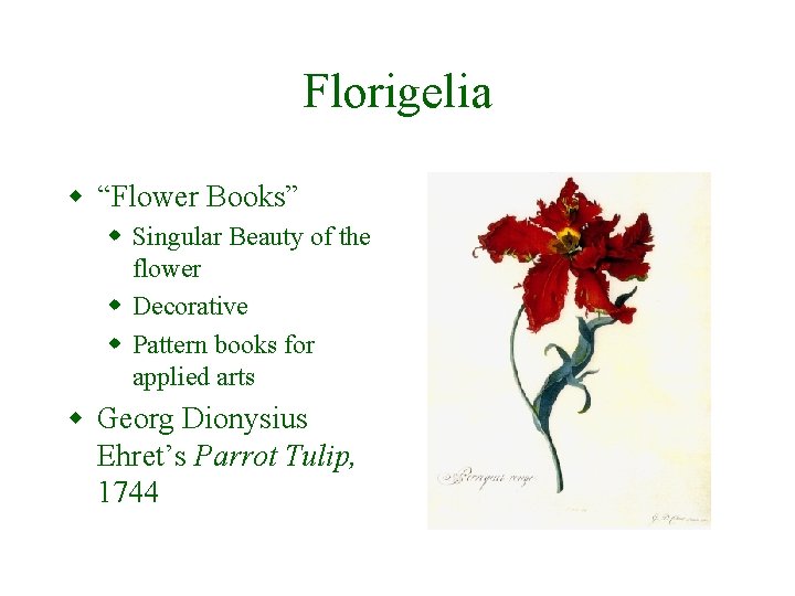 Florigelia w “Flower Books” w Singular Beauty of the flower w Decorative w Pattern