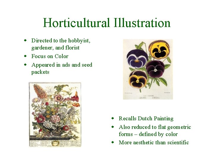 Horticultural Illustration w Directed to the hobbyist, gardener, and florist w Focus on Color