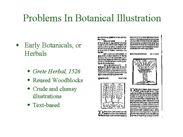 Problems In Botanical Illustration w Early Botanicals, or Herbals w Grete Herbal, 1526 w