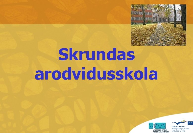 Skrundas arodvidusskola 