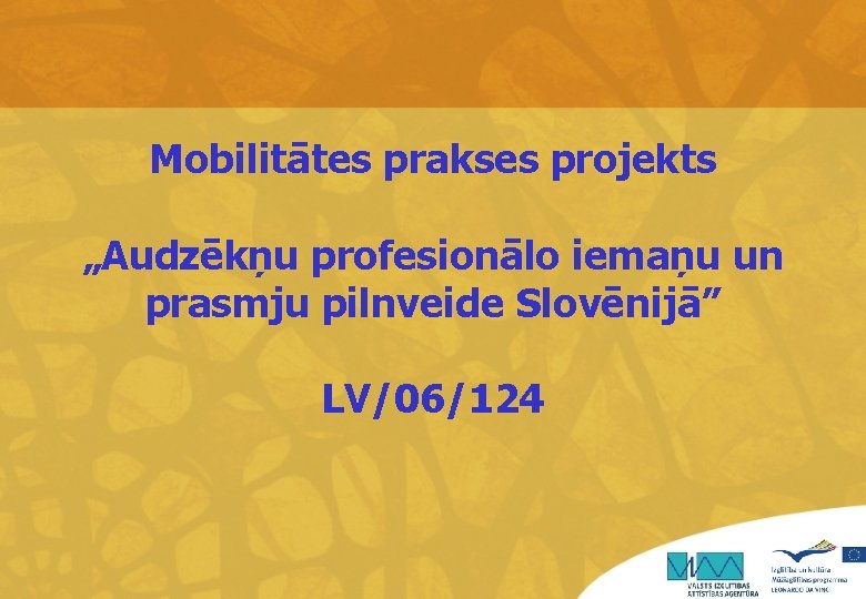 Mobilitātes prakses projekts „Audzēkņu profesionālo iemaņu un prasmju pilnveide Slovēnijā” LV/06/124 