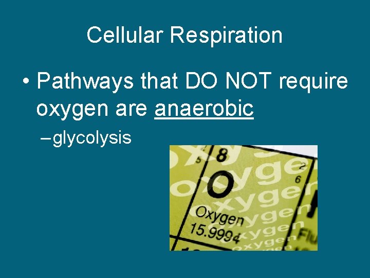 Cellular Respiration • Pathways that DO NOT require oxygen are anaerobic – glycolysis 