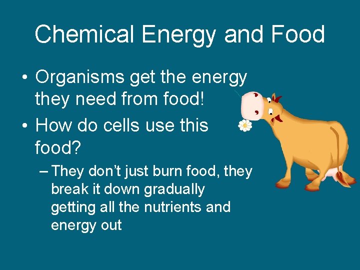 Chemical Energy and Food • Organisms get the energy they need from food! •