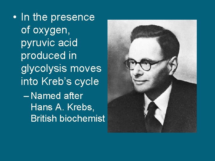  • In the presence of oxygen, pyruvic acid produced in glycolysis moves into