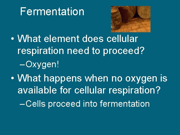 Fermentation • What element does cellular respiration need to proceed? – Oxygen! • What