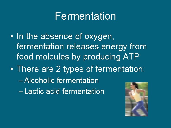 Fermentation • In the absence of oxygen, fermentation releases energy from food molcules by