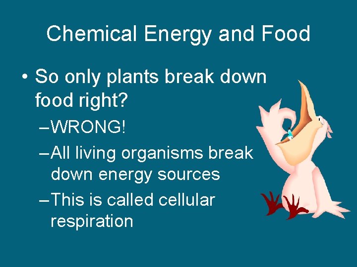 Chemical Energy and Food • So only plants break down food right? – WRONG!
