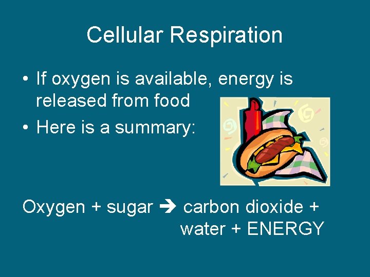 Cellular Respiration • If oxygen is available, energy is released from food • Here