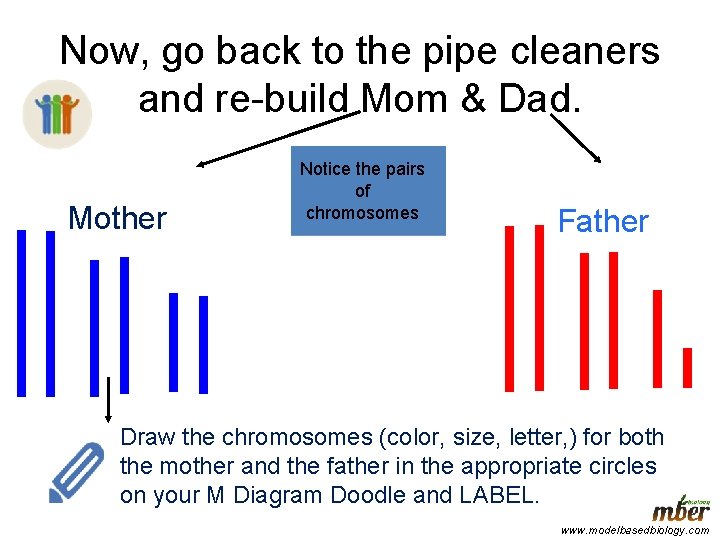 Now, go back to the pipe cleaners and re-build Mom & Dad. Mother Notice