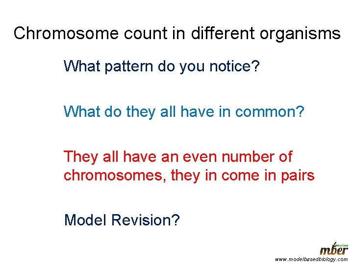 Chromosome count in different organisms What pattern do you notice? What do they all