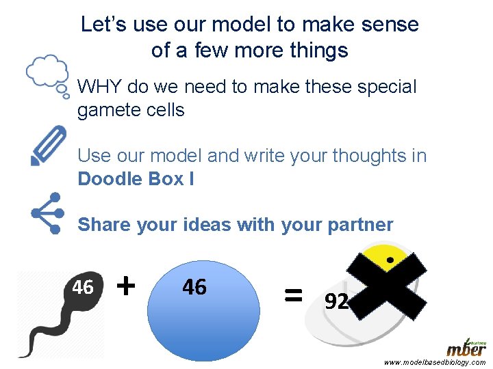 Let’s use our model to make sense of a few more things WHY do