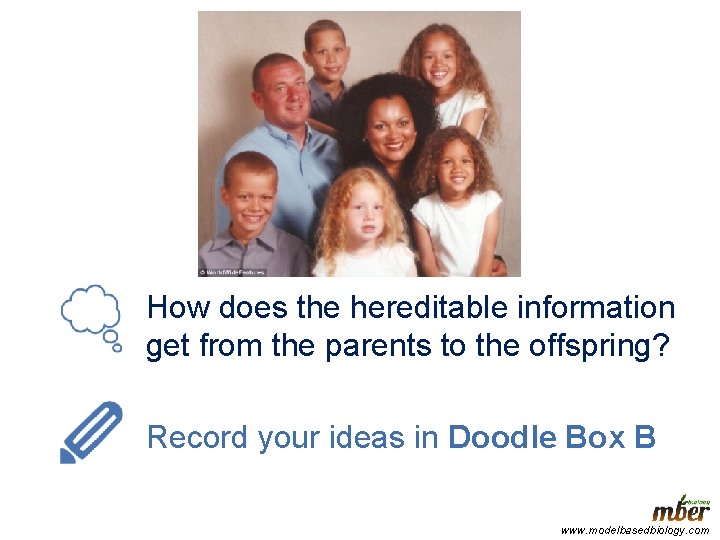 How does the hereditable information get from the parents to the offspring? Record your