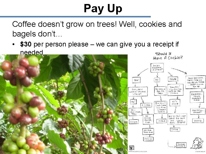 Pay Up Coffee doesn’t grow on trees! Well, cookies and bagels don’t… • $30