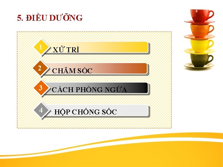 5. ĐIỀU DƯỠNG 1 XỬ TRÍ 2 CHĂM SÓC 3 CÁCH PHÒNG NGỪA 4