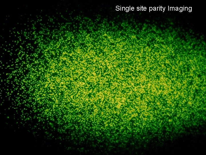 Single site parity Imaging 