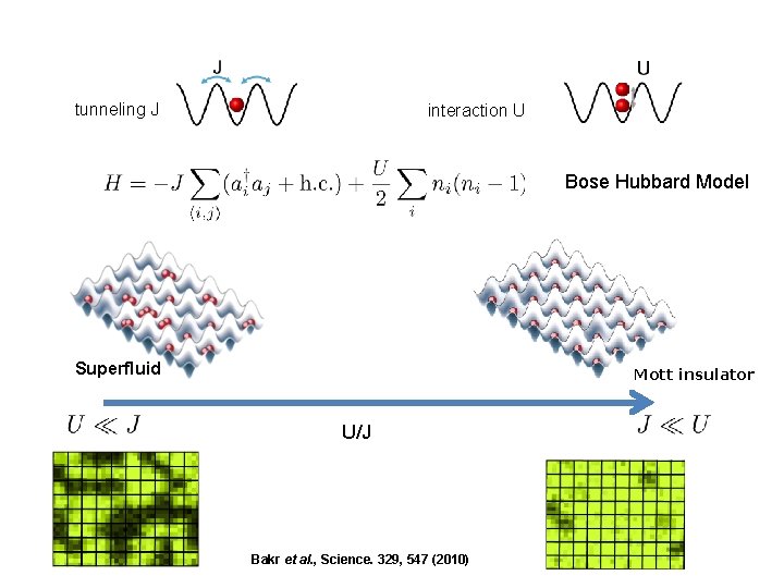 tunneling J interaction U Bose Hubbard Model Superfluid Mott insulator U/J Bakr et al.