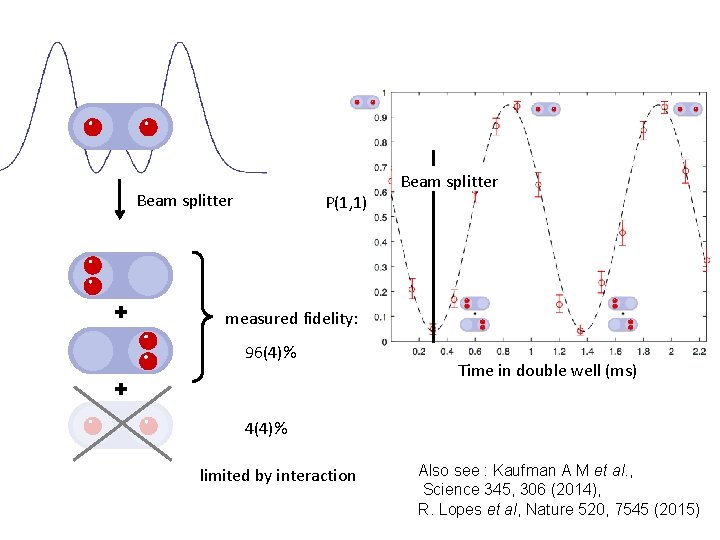 Beam splitter P(1, 1) Beam splitter measured fidelity: 96(4)% Time in double well (ms)