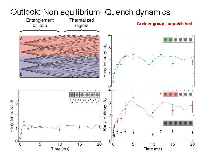 Outlook: Non equilibrium- Quench dynamics Greiner group - unpublished 