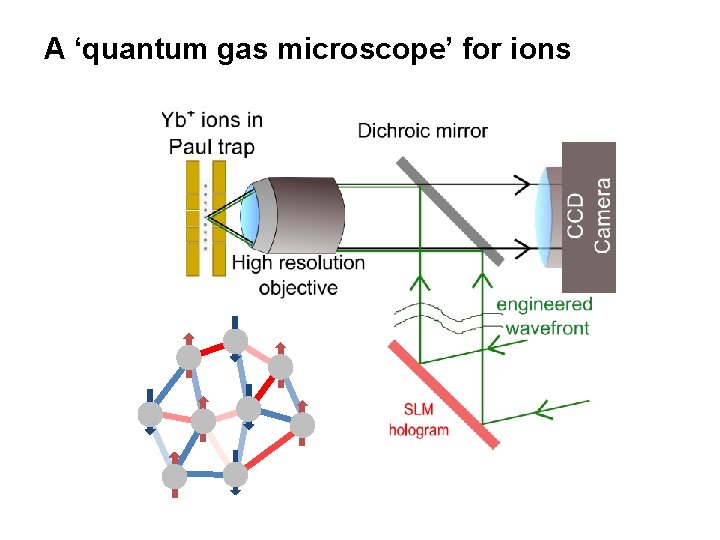 A ‘quantum gas microscope’ for ions 