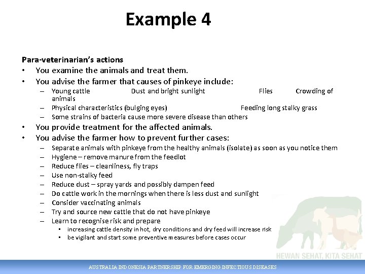 Example 4 Para-veterinarian’s actions • You examine the animals and treat them. • You