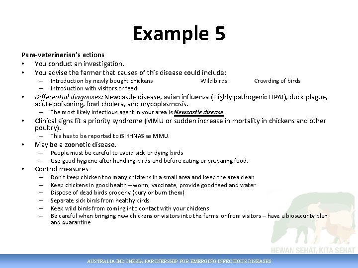 Example 5 Para-veterinarian’s actions • You conduct an investigation. • You advise the farmer